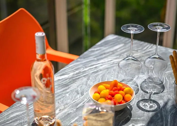 Le Sun Piscine Toit Terrasse 公寓 芒通