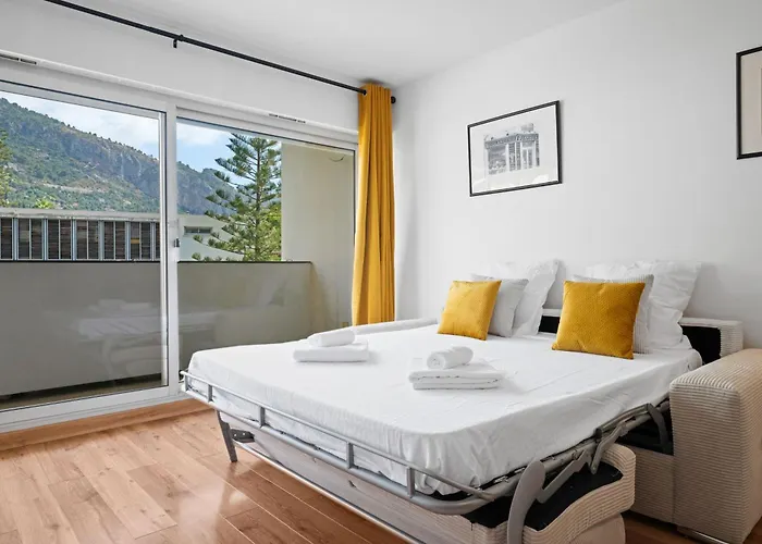 Le Sun Piscine Toit Terrasse 芒通